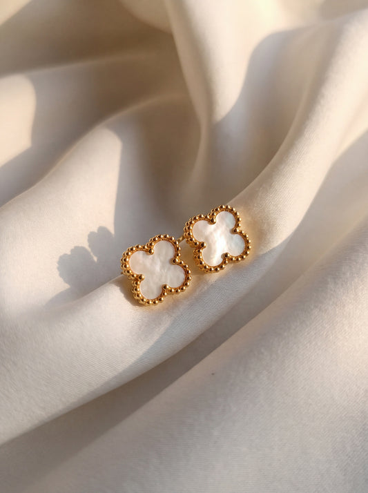 Alba Clover Stud