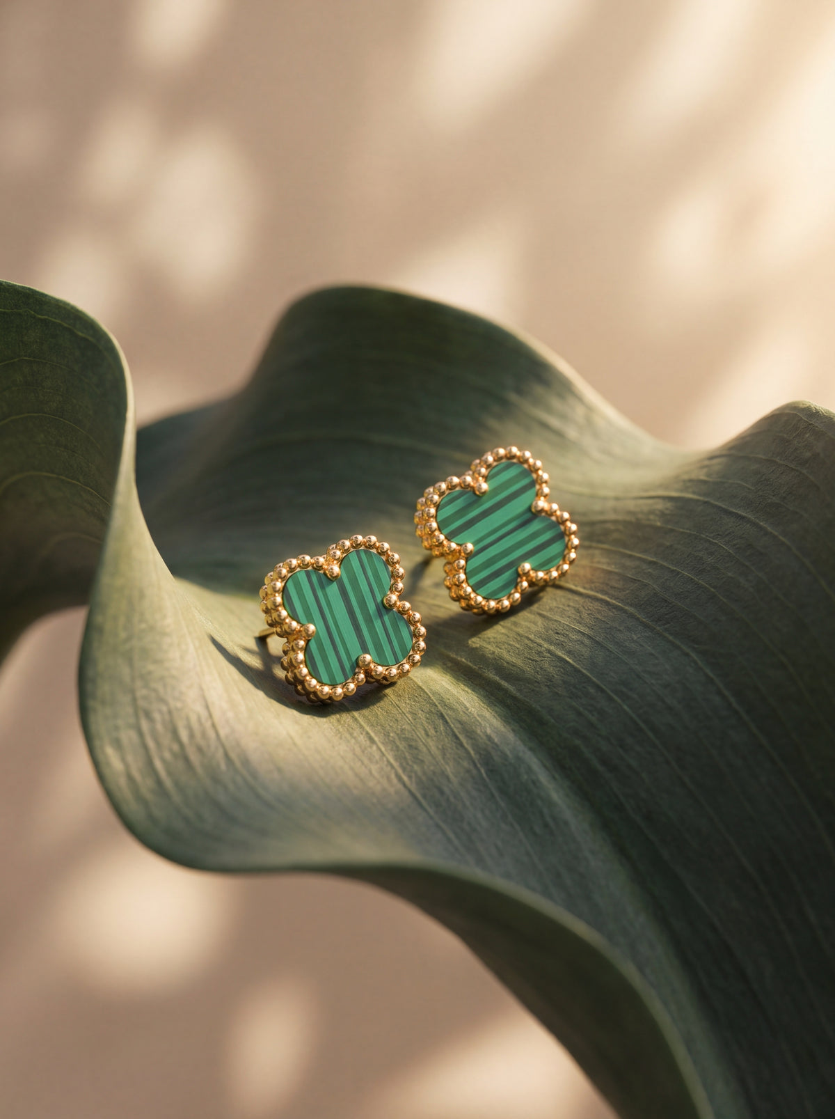 Verdelle Clover Stud