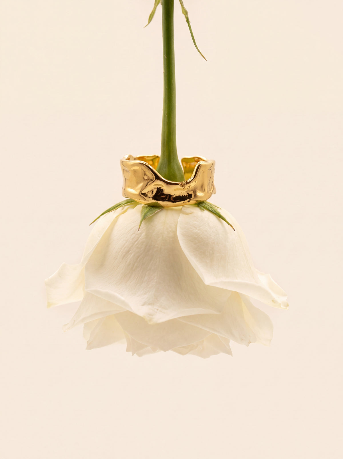 Fluid Golden Ring