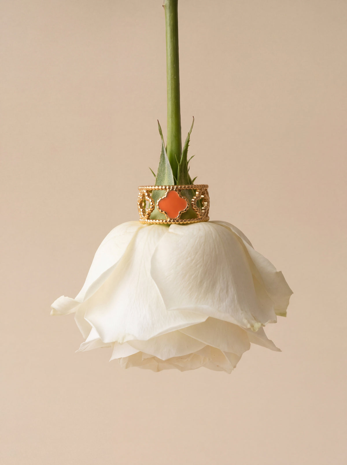 Amara Soleil Ring