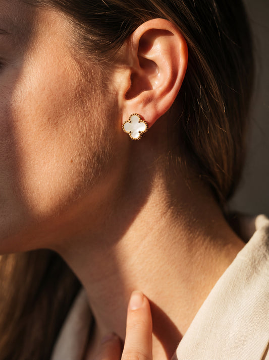 Alba Clover Stud