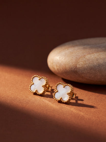 Alba Clover Stud