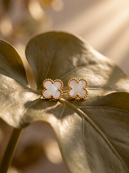 Alba Clover Stud